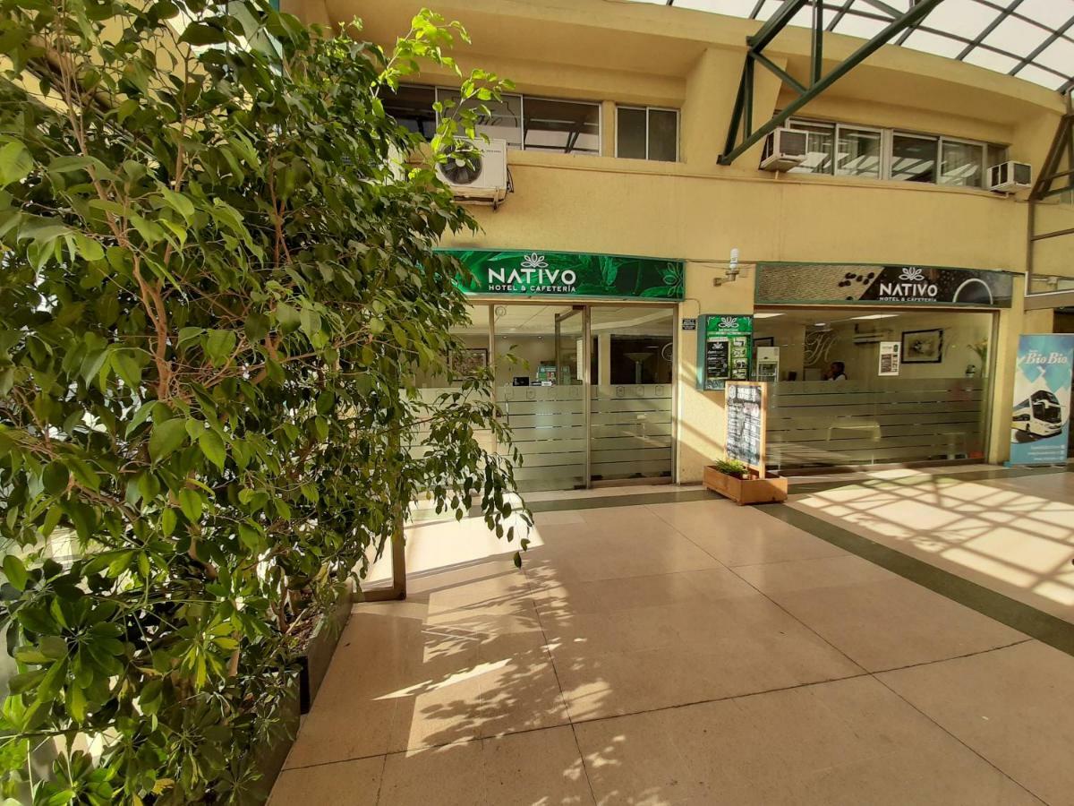 Nativo Hotel Y Cafeteria Talca  Luaran gambar